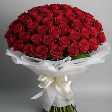 Букет 101 Красная роза Блэк Мэджик #REPLACE_PRED# Рощино Новгородская область
