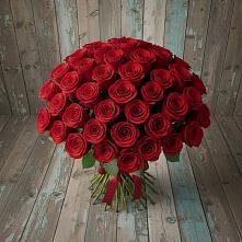 Букет 55 Красных роз Фридом #REPLACE_PRED# Рощино Новгородская область