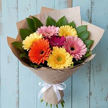 Букет цветов из:  Герберы #REPLACE_PRED# Рощино Новгородская область