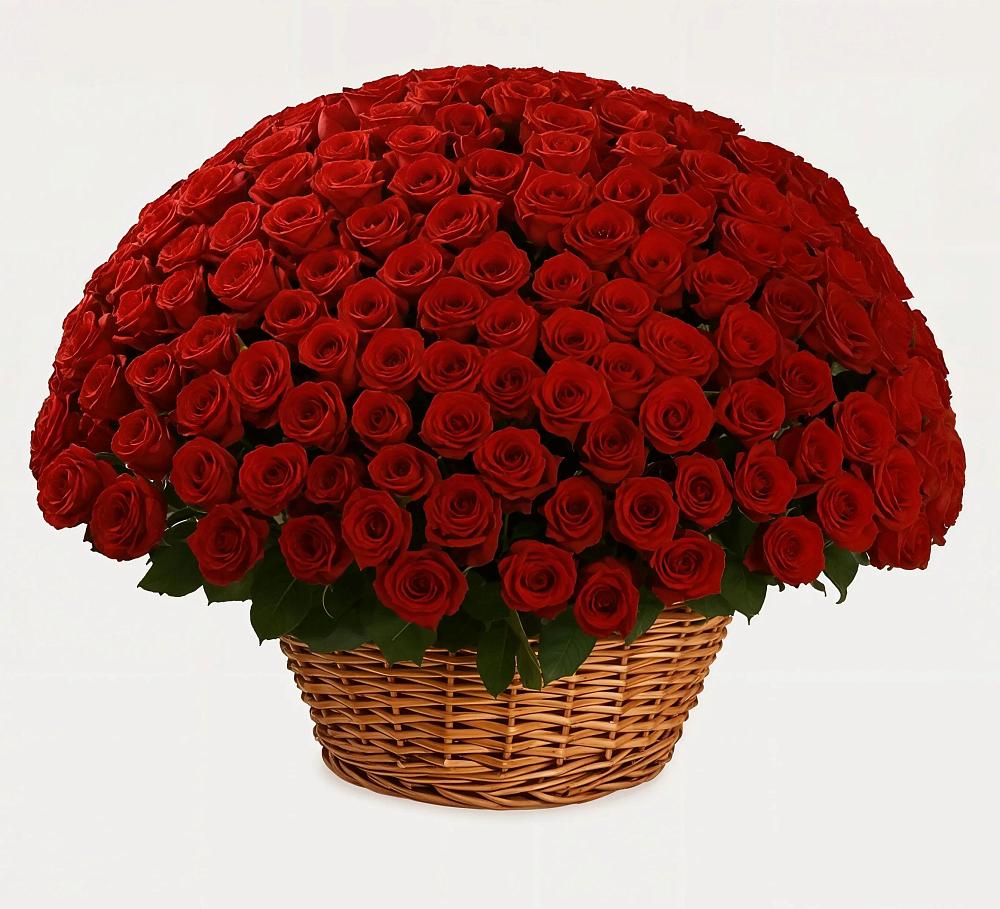 Премиум букет из: Розы в Рощино Новгородская область