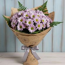 Букет цветов из:  Хризантемы в Рощино Новгородская область