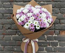 Букет цветов из:  Хризантемы #REPLACE_PRED# Рощино Новгородская область