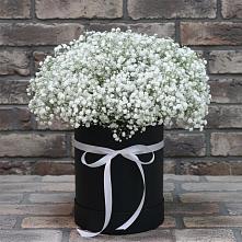 Цветочная композиция из Гипсофила в шляпной коробке #REPLACE_PRED# Рощино Новгородская область