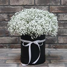 Цветочная композиция из Гипсофила в шляпной коробке в Рощино Новгородская область