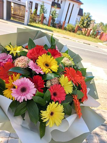 Букет цветов из: Герберы в Рощино Новгородская область